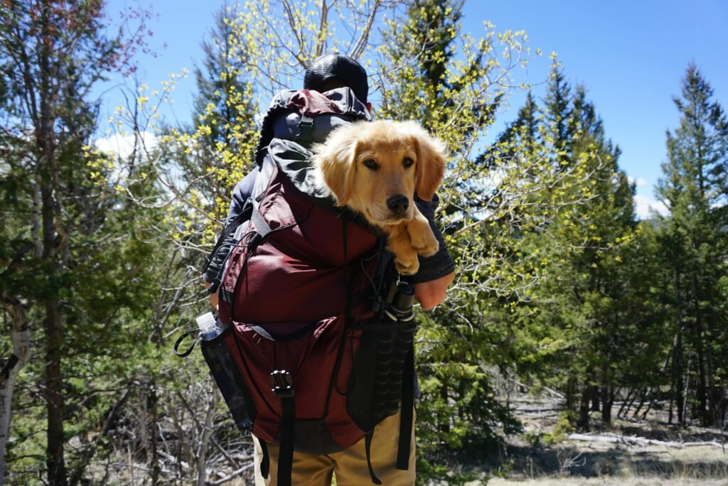 backpack