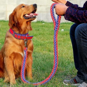 Pet Towing Rope Dog Collar Supplies Adjustable Studded Hunter Cat Collar Rope
